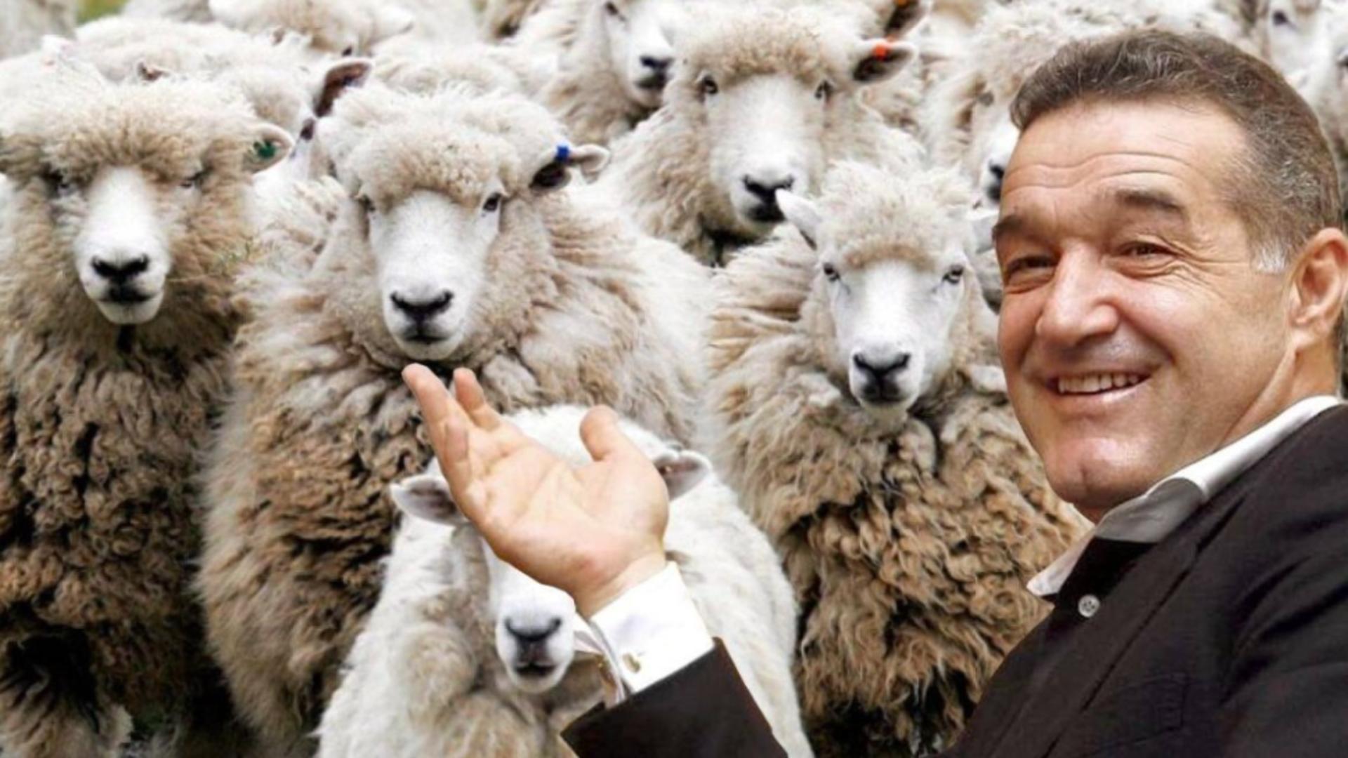 Umilinta mare pentru Becali tradat de un apropiat Pe fruntea lui scrie PUSCARIE Ce rol are in societatea romaneasca