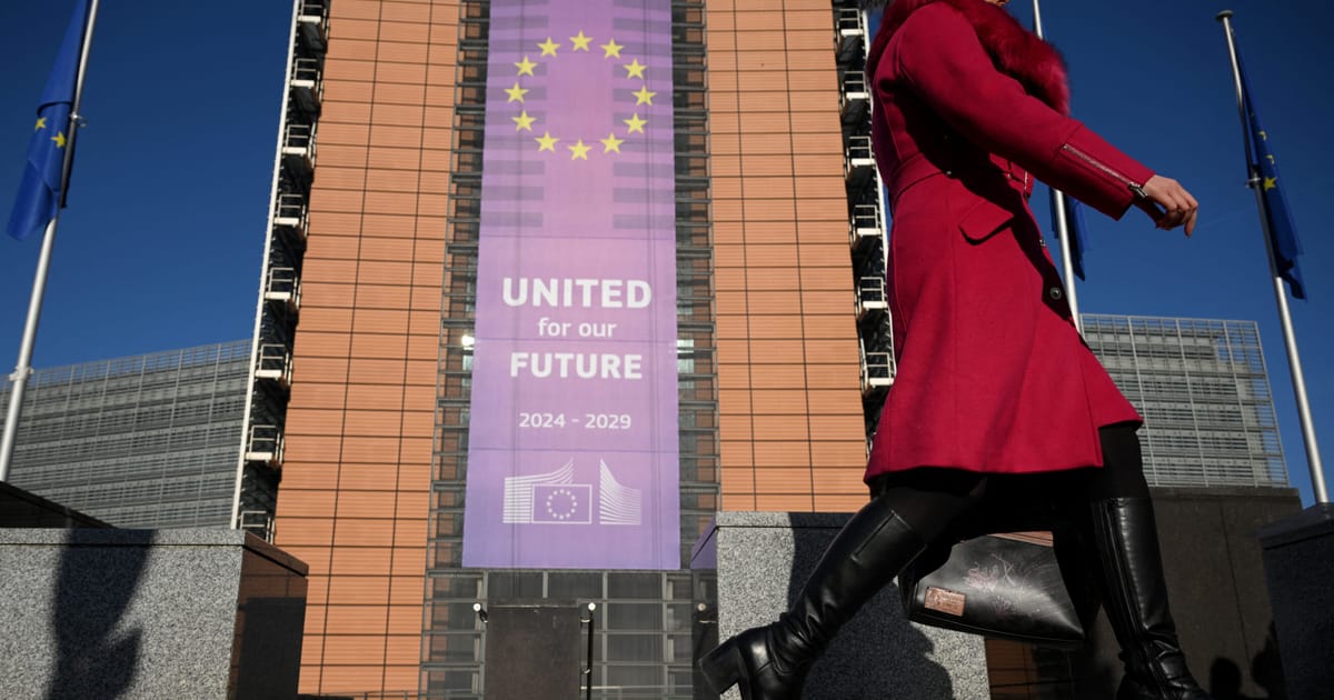 Bruxelles trebuie sa reformeze finantarea ONG urilor spun auditorii