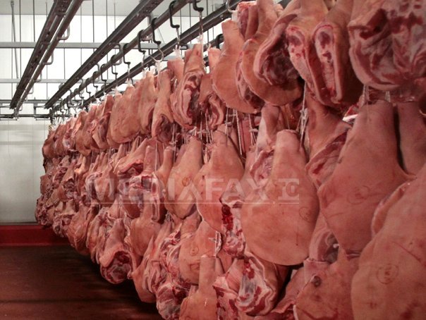 Activitate suspendata la un abator din Franta dupa un videoclip cu animale maltratate