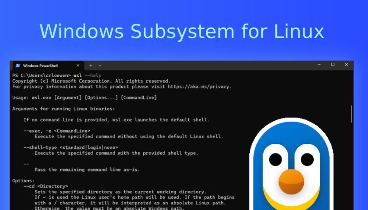Microsoft a publicat codul sursa pentru Linux in Windows
