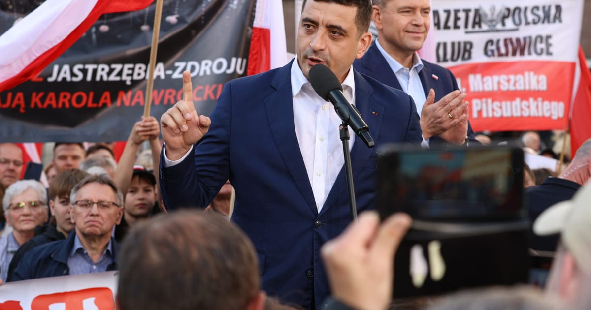 Simion acuza Moldova de manipularea alegerilor romanesti