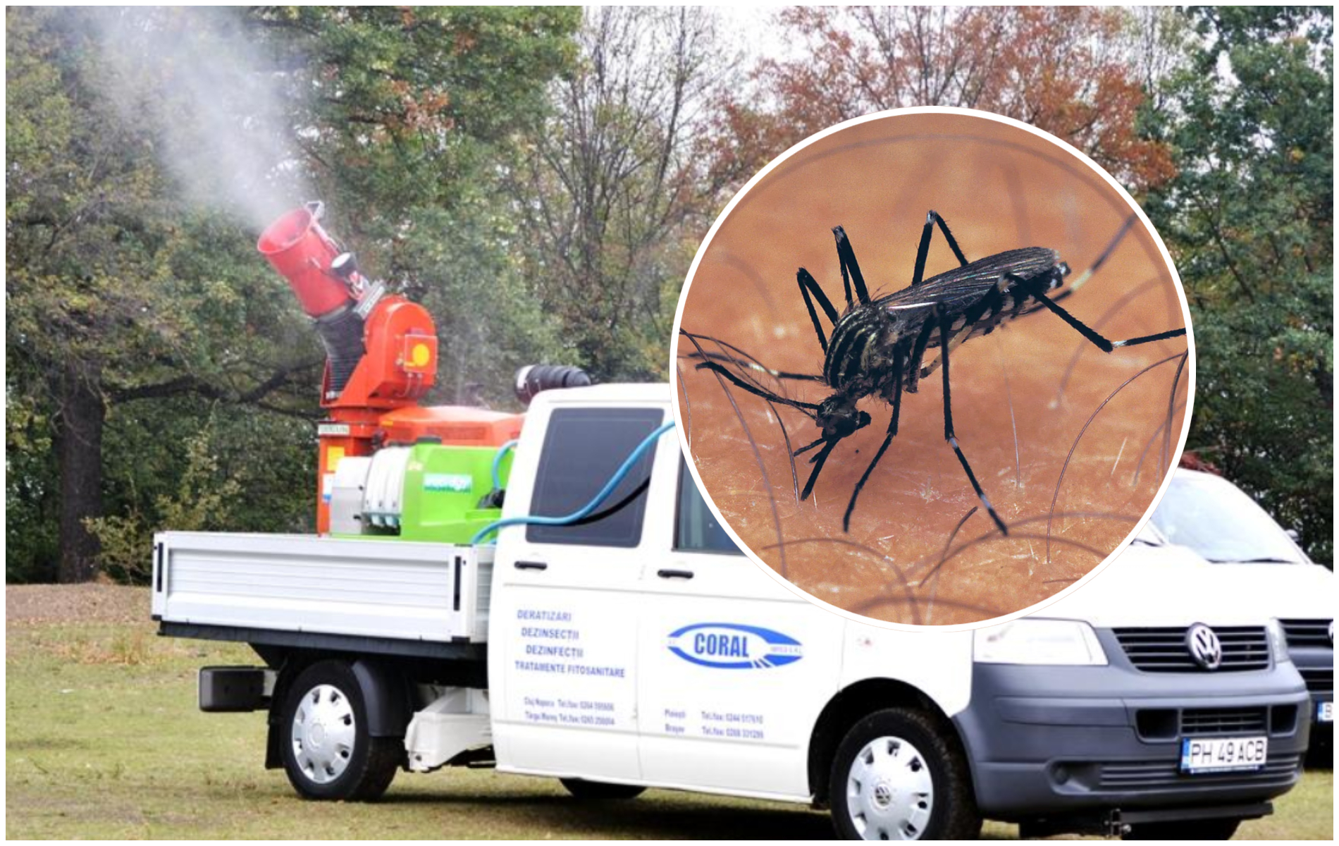 Incepe dezinsectia in Cluj Napoca efectele Cymina Plus si Vectobac WG