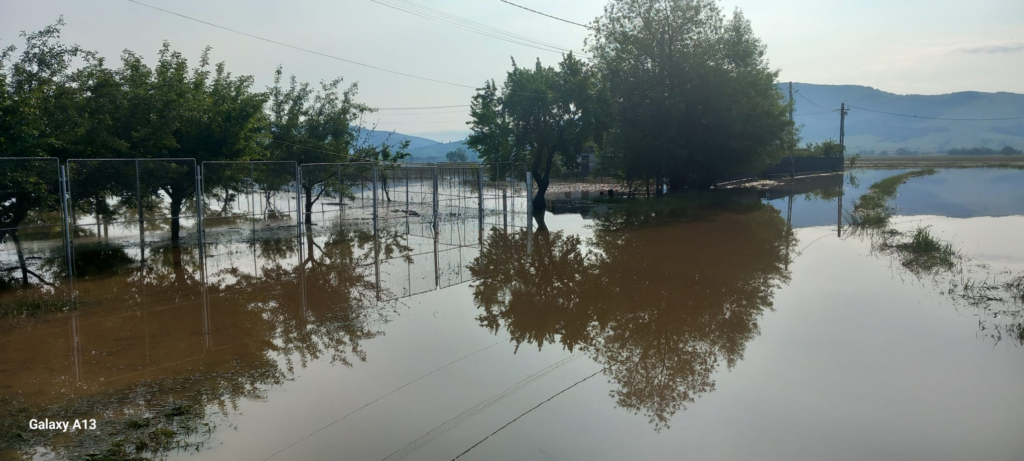 Solidaritate cu natura ISU Cluj evacuaza apa FOTOVIDEO