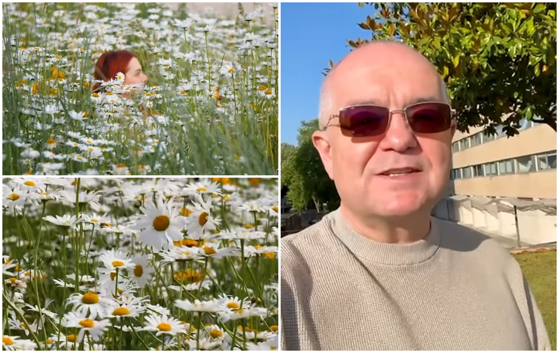 VIDEO De ce nu a fost cosita i arba de pe Somes