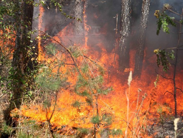 Atenzionare de calatorie in Muntenegru incendii de vegetaie
