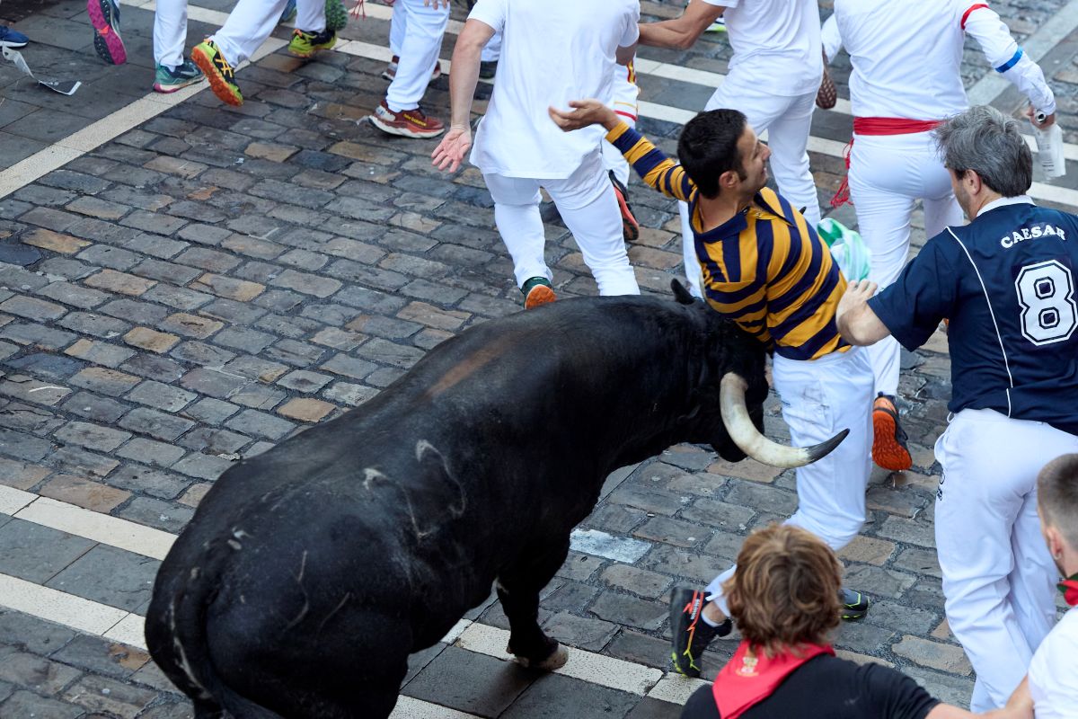 Calugarul budist a alergat cu taurii la San Fermin