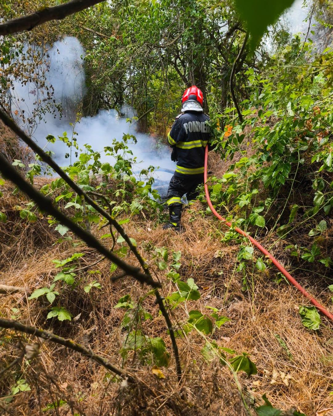 Incendiul de la Chilia a reizbucnit pompierii au fost mobilizati