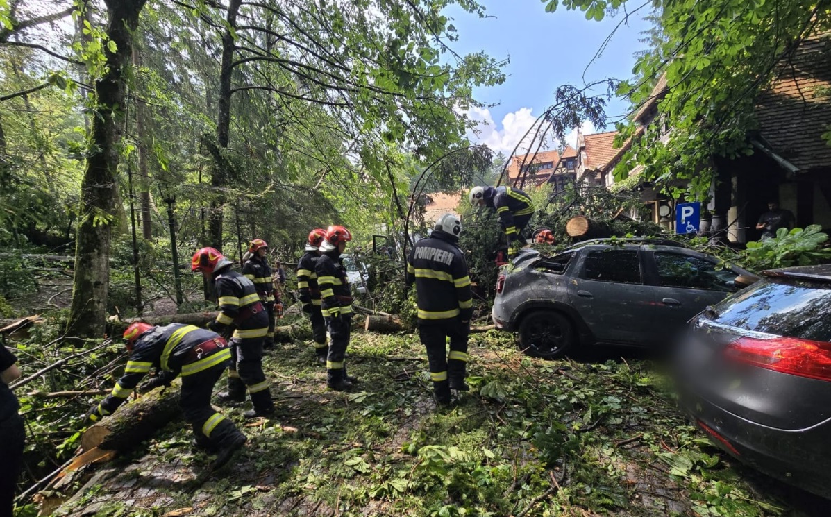Pagube si copaci doborati 34 de localitati afectate