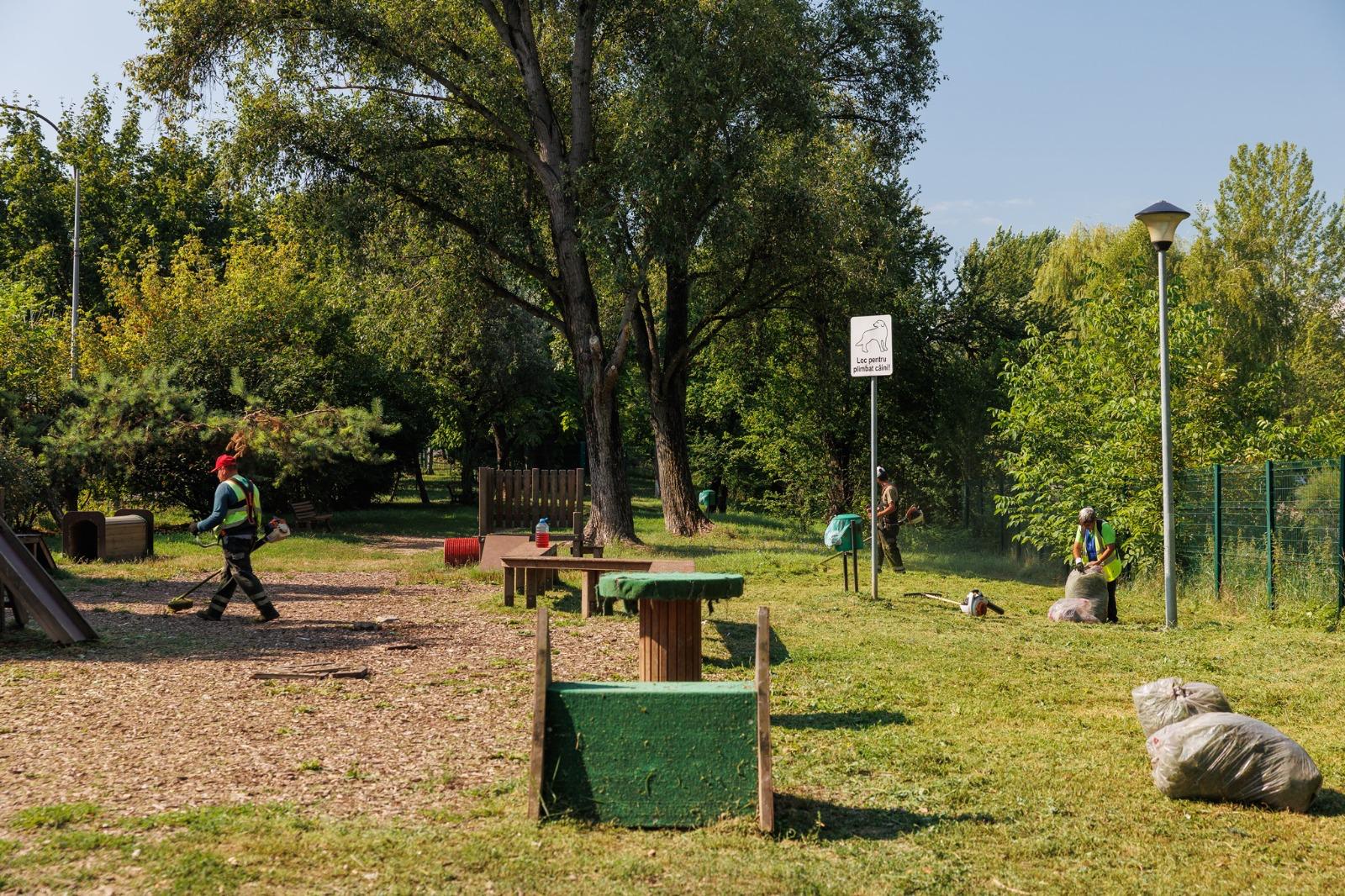Parc pentru caini din Cluj pericol pentru proprietari