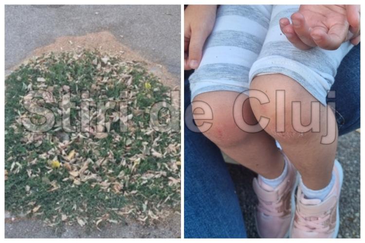 Primaria Cluj Napoca raspunde incidentului fetitei