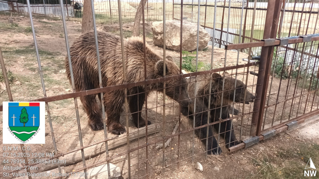 descoperire ilegala gradina zoologica in dambovita