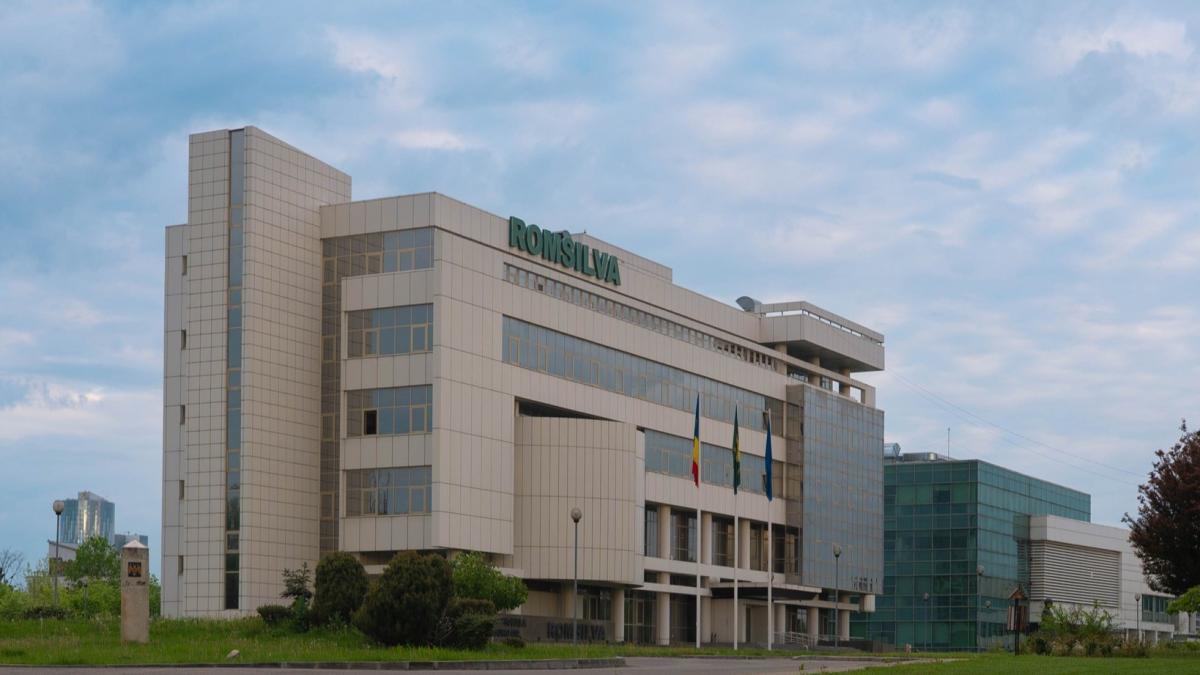 Romsilva angajeaza director pentru 5 luni