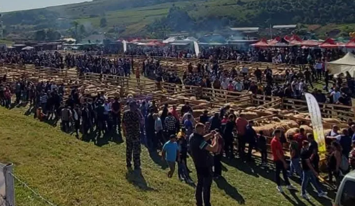 Cluj Eveniment anulat din cauza pestei porcine