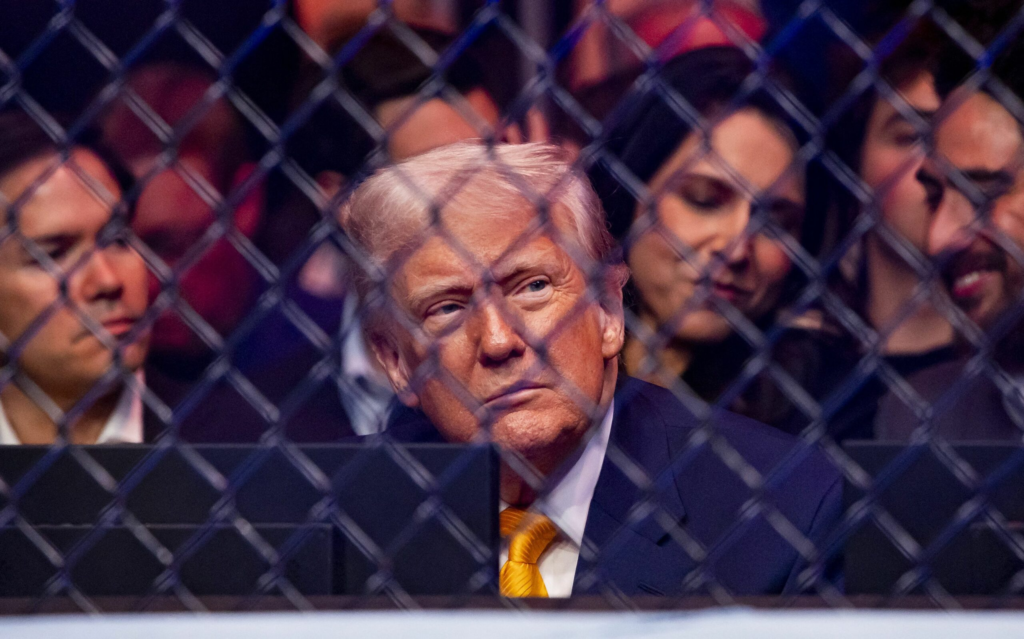 Democratii spun ca Trump conduce Rusia din umbra