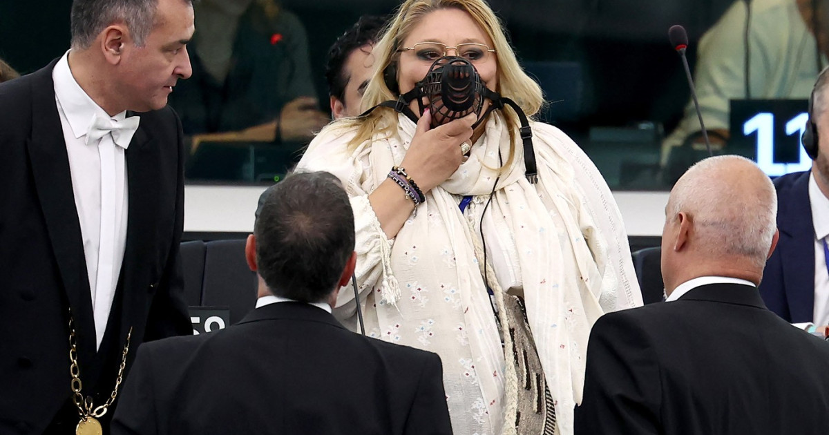 Reactia Dianei Soshoaca la absenta de la Parchet