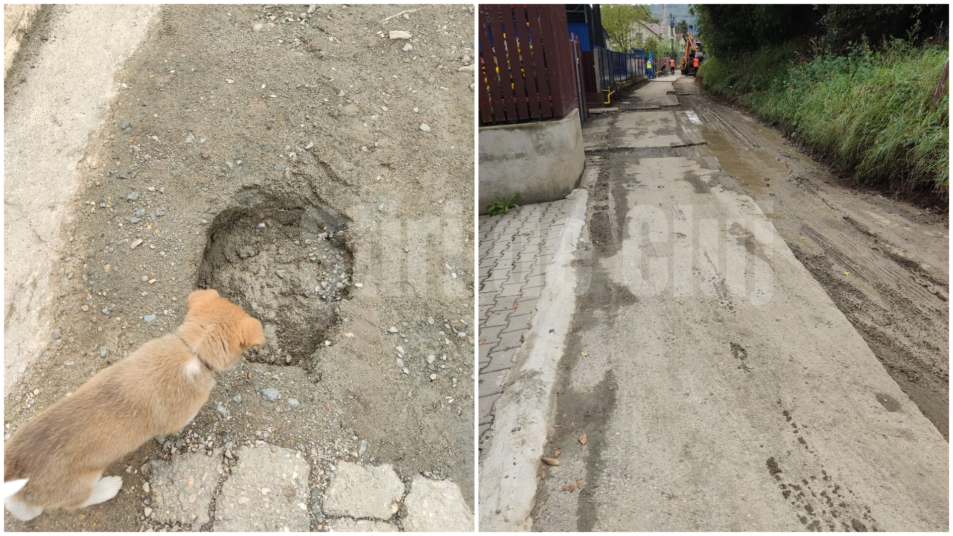 Scandal pe o strada din Cluj Apa in curti