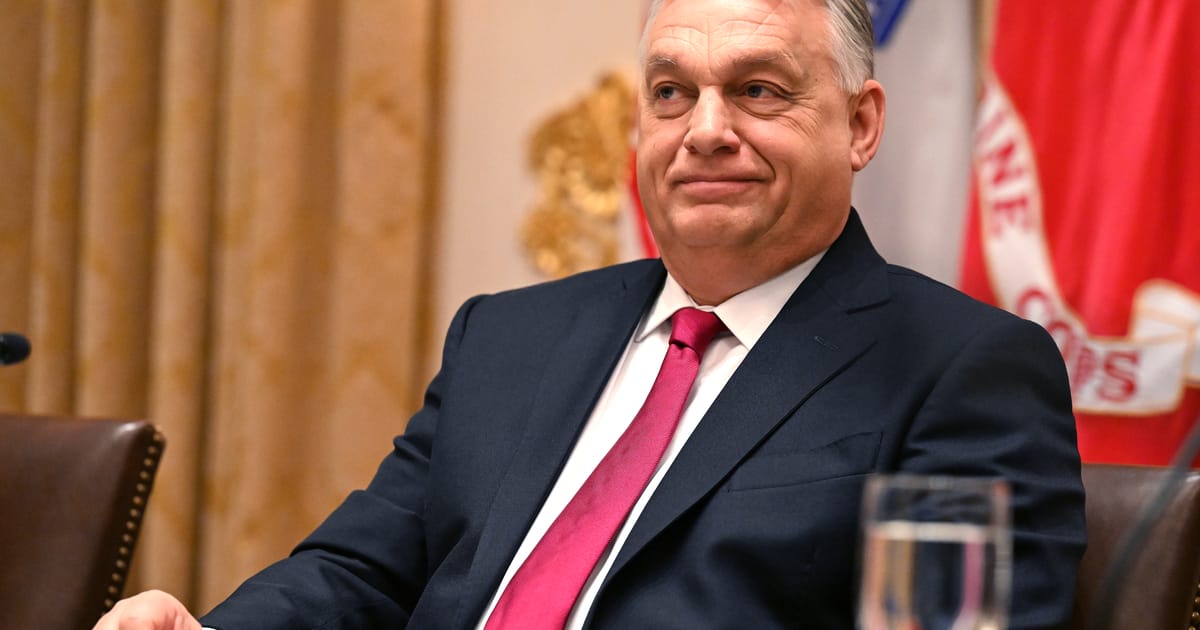 Orban Nu ma tem sa accept infrangerea electorala