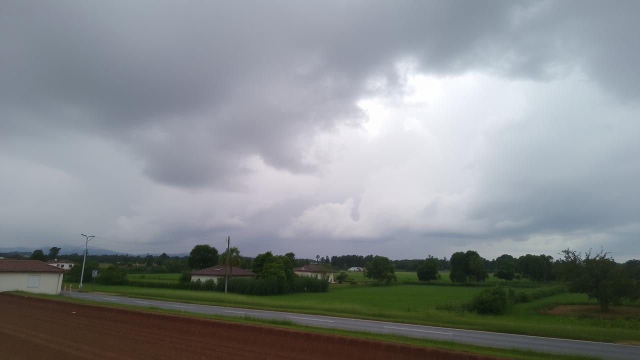 Prognoza meteo doua saptamani Se inca lzeste in tara