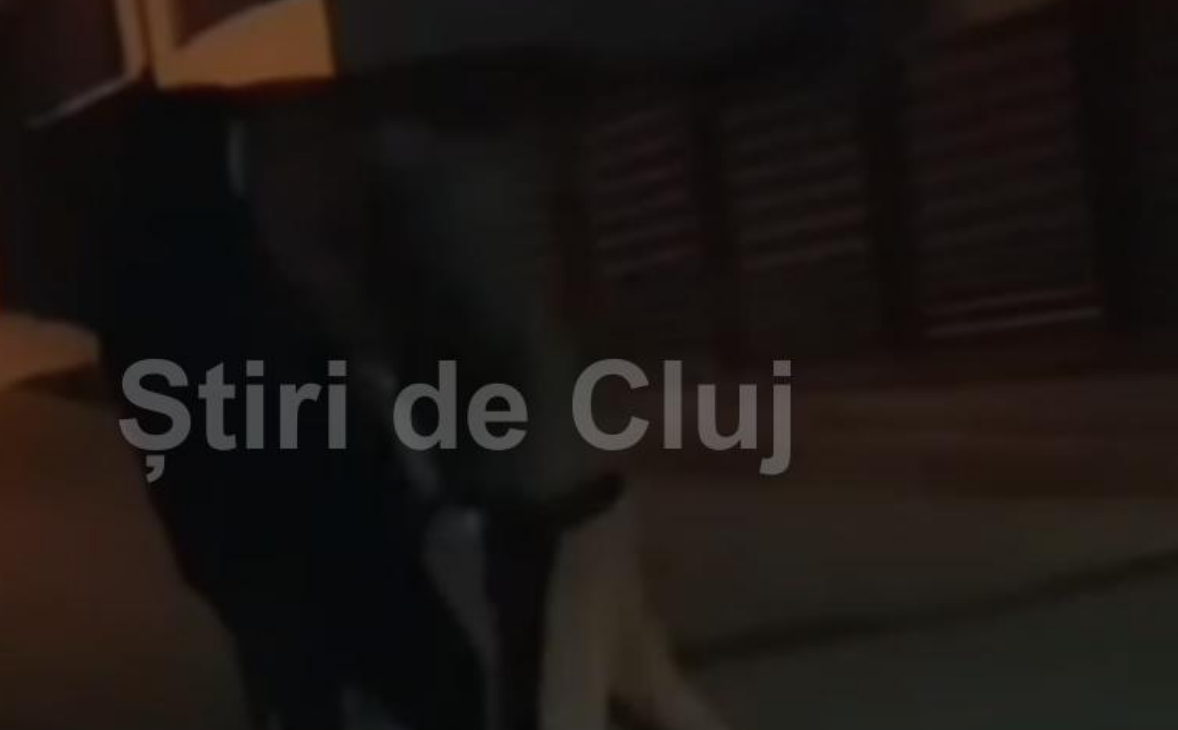 VIDEO Ancheta a Politei Cluj despre un adolescent agresat