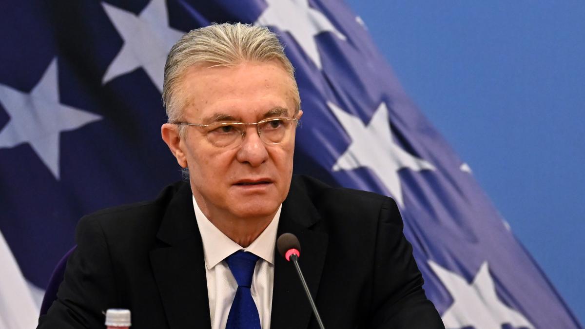 Cristian Diaconescu referitor la criza din NATO Singura alianta in care membrii s au atacat unii pe altii a