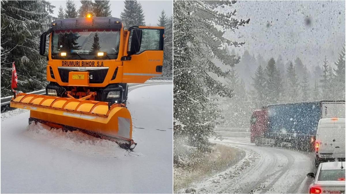 Ninge abundent in 14 judeze restrictii pe DN6