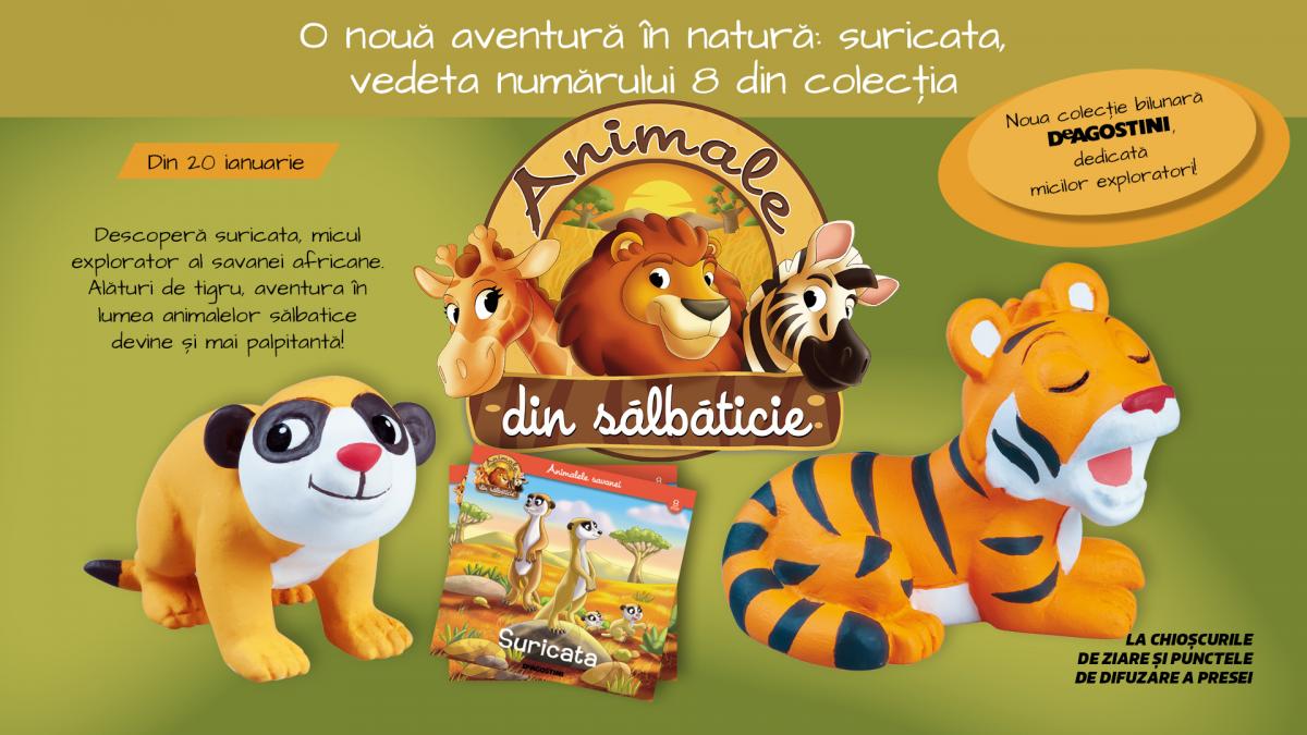O noua aventura in natura suricata vedeta editiei cu nr 8 din collectia Animale salbatice