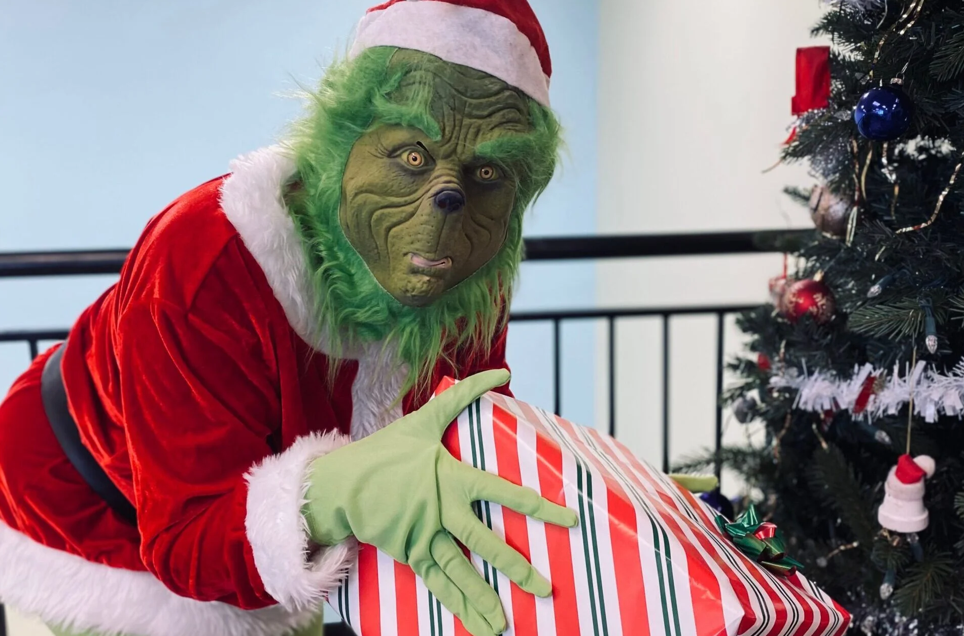 Un tanar din Cluj a devenit Grinch de Claus