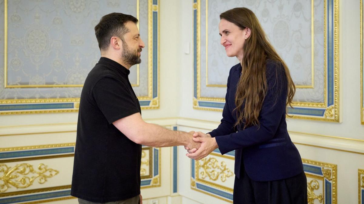 Triunghiul Odesa Oana Toiu anunta constituirea Triplei Alianta Cibernetica care include