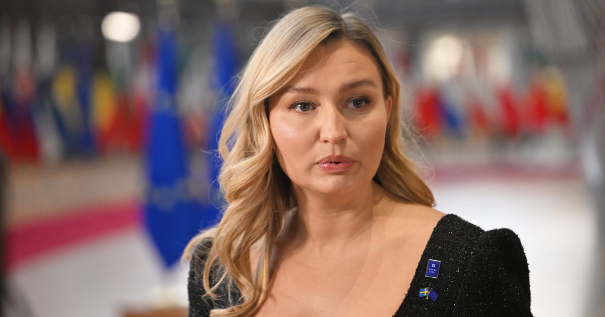 Vicepremierul suezez Liderii europeni trebuie sa devina mai hotaratzi si sa nu mai astepte ajutoare de la Bruxelles si Statele Unite