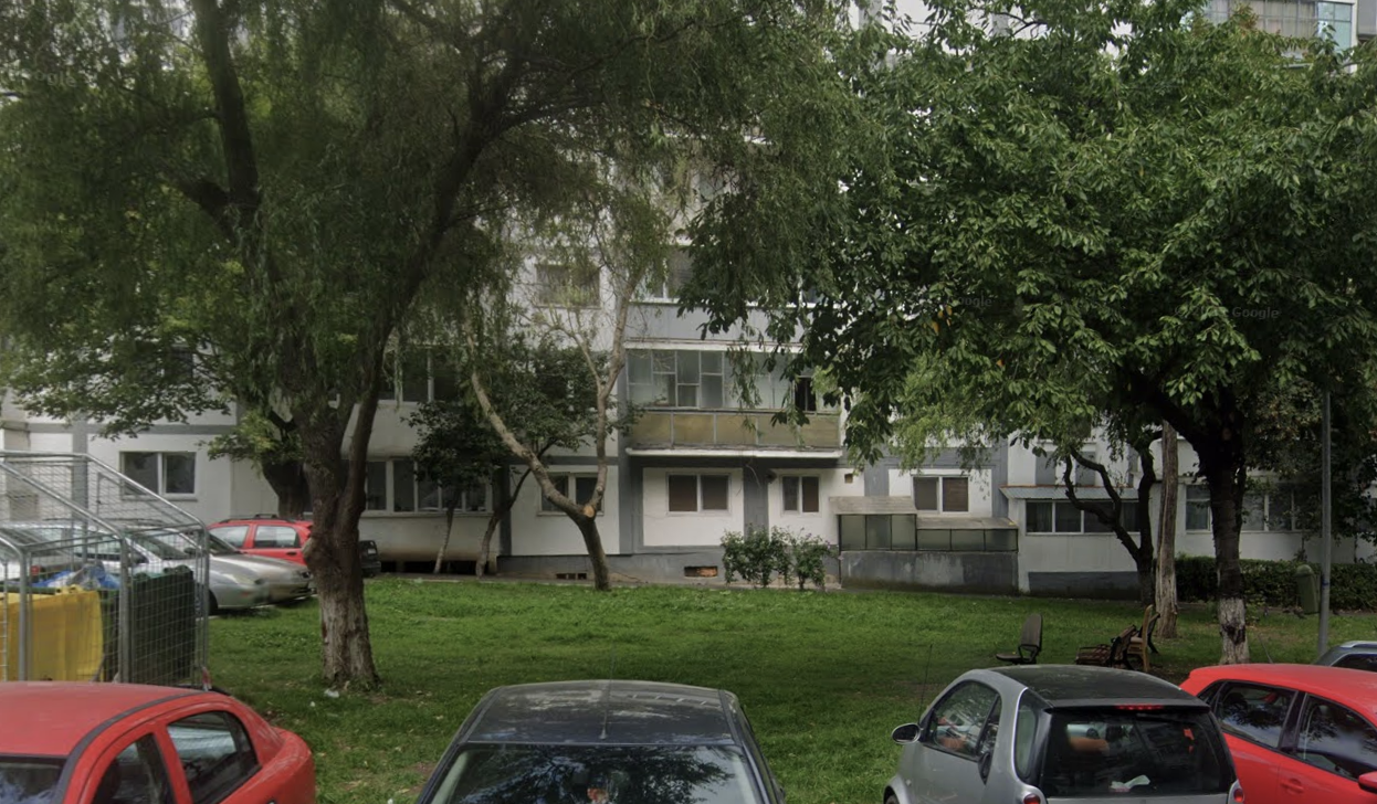 accesul cainilor intr un parc din cluj se cere modificarea regulamentului unui parc in care animale nu sunt acceptate poate ar fi bine sa fie amenajat un loc special