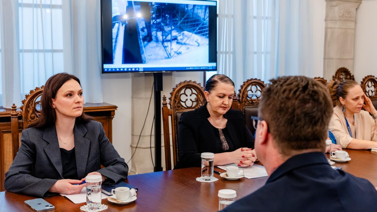 ororile de la suraia administratia prezidentiala ia masuri in legatura cu omorarea cainilor din