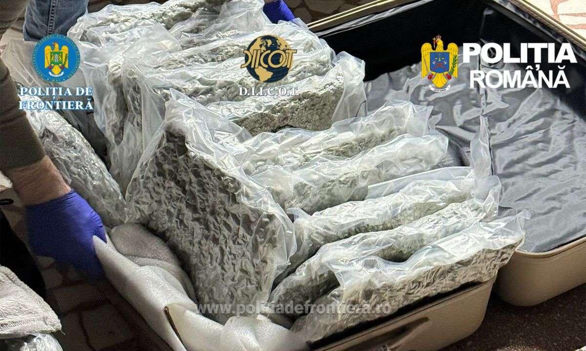 31 de kilograme de cannabis descoperite in trolerele unui italian care a incercat sa intre in Romania pe la Nadlac