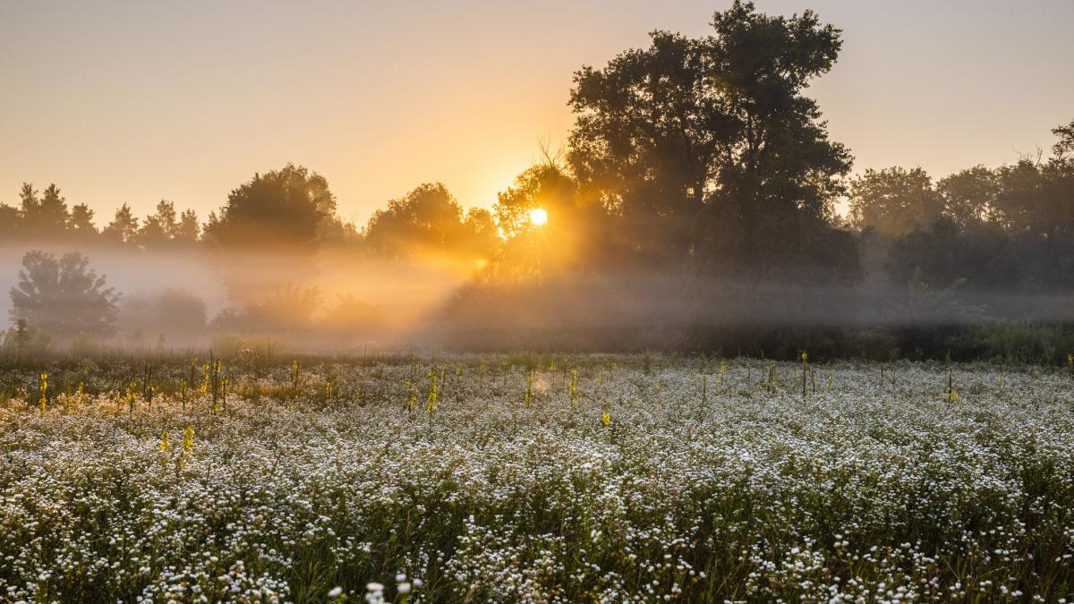 ANM anticipeaza temperaturi de 18 grade Celsius si vreme frumoasa in intreaga tara pentru saptamana viitoare