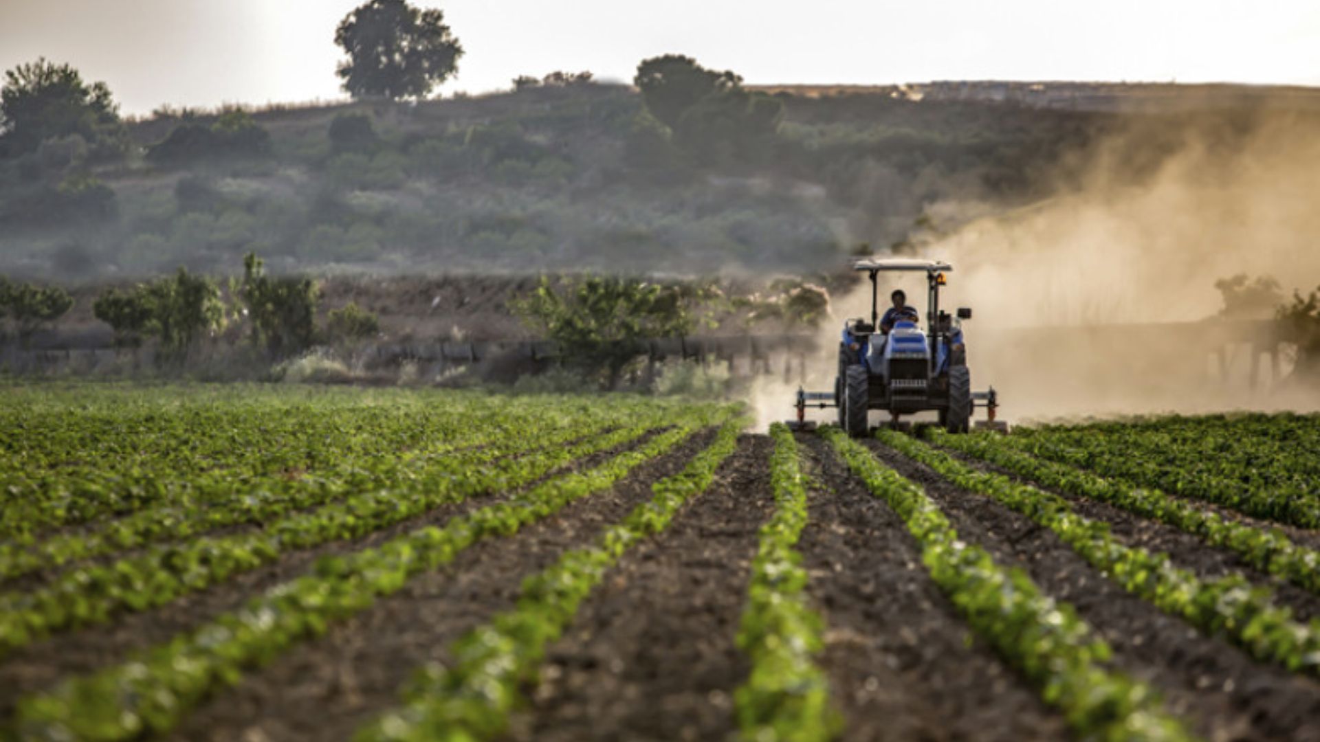 Anunt deosebit pentru agricultorii din Apahida Cluj Intalnire la primarie despre obtinerea subventiilor agricole in 2026