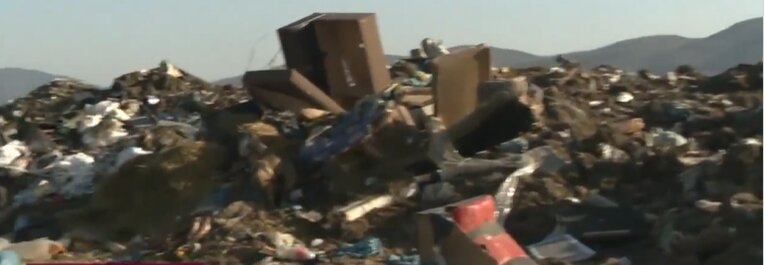 Autoritatile bulgare cerceteaza un posibil import ilegal de animale din Romania Descoperirea unui abator clandestin in zona Ihtiman