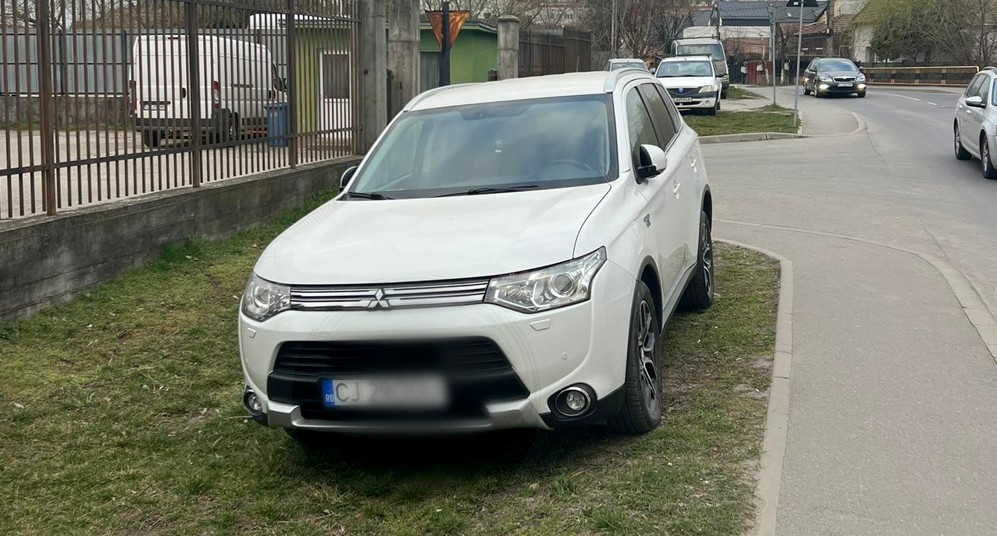 Batatie de joc la adresa orasului Un sofer a fost suprins pe spatiul verde E perfect pentru parcat tigaia