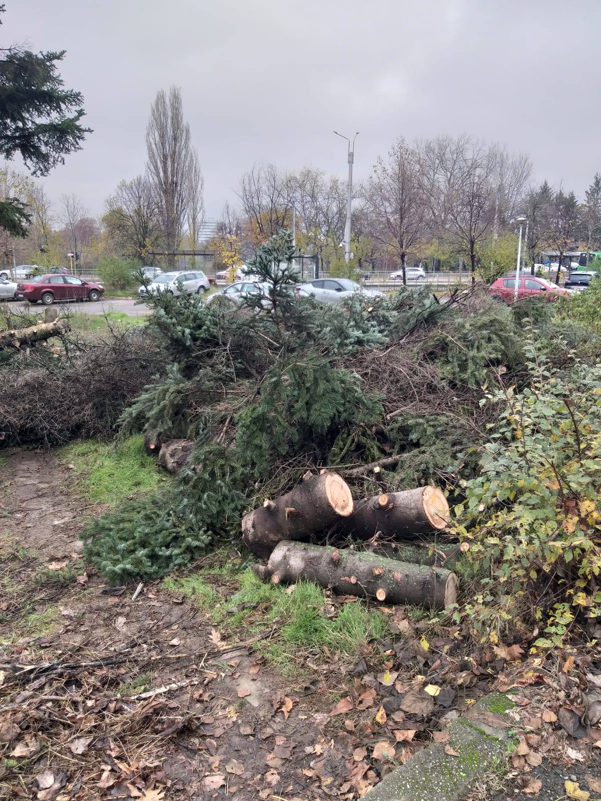 Ciocanul pentru marcarea arborilor a fost inlocuit cu echipamente moderne