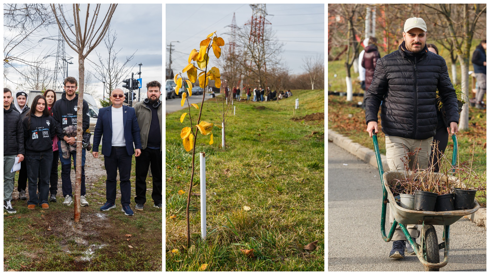 Cluj Napoca devine mai verde Emil Boc invita comunitatea la actiuni de plantare in cartierele Iris si Someseni