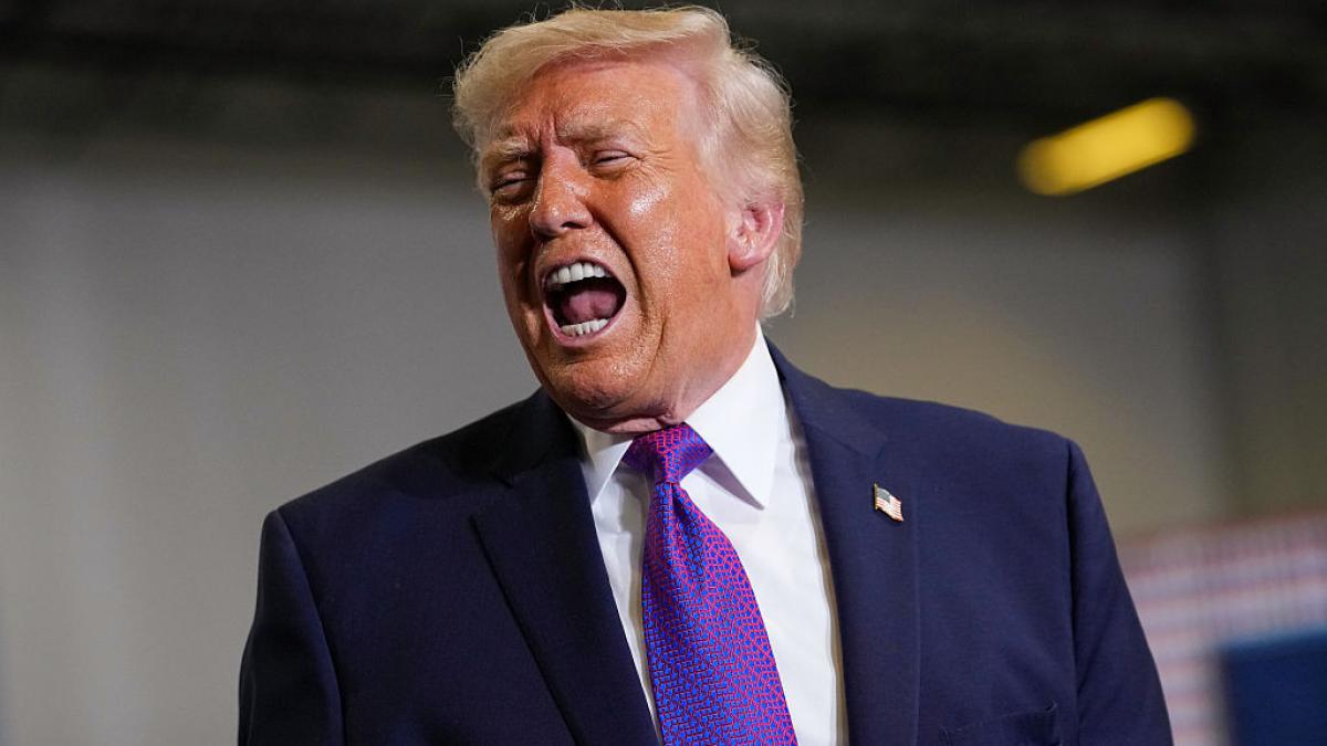 Donald Trump isi exprima critici fara precedent la adresa NATO Niste lasi Un tigru de hartie