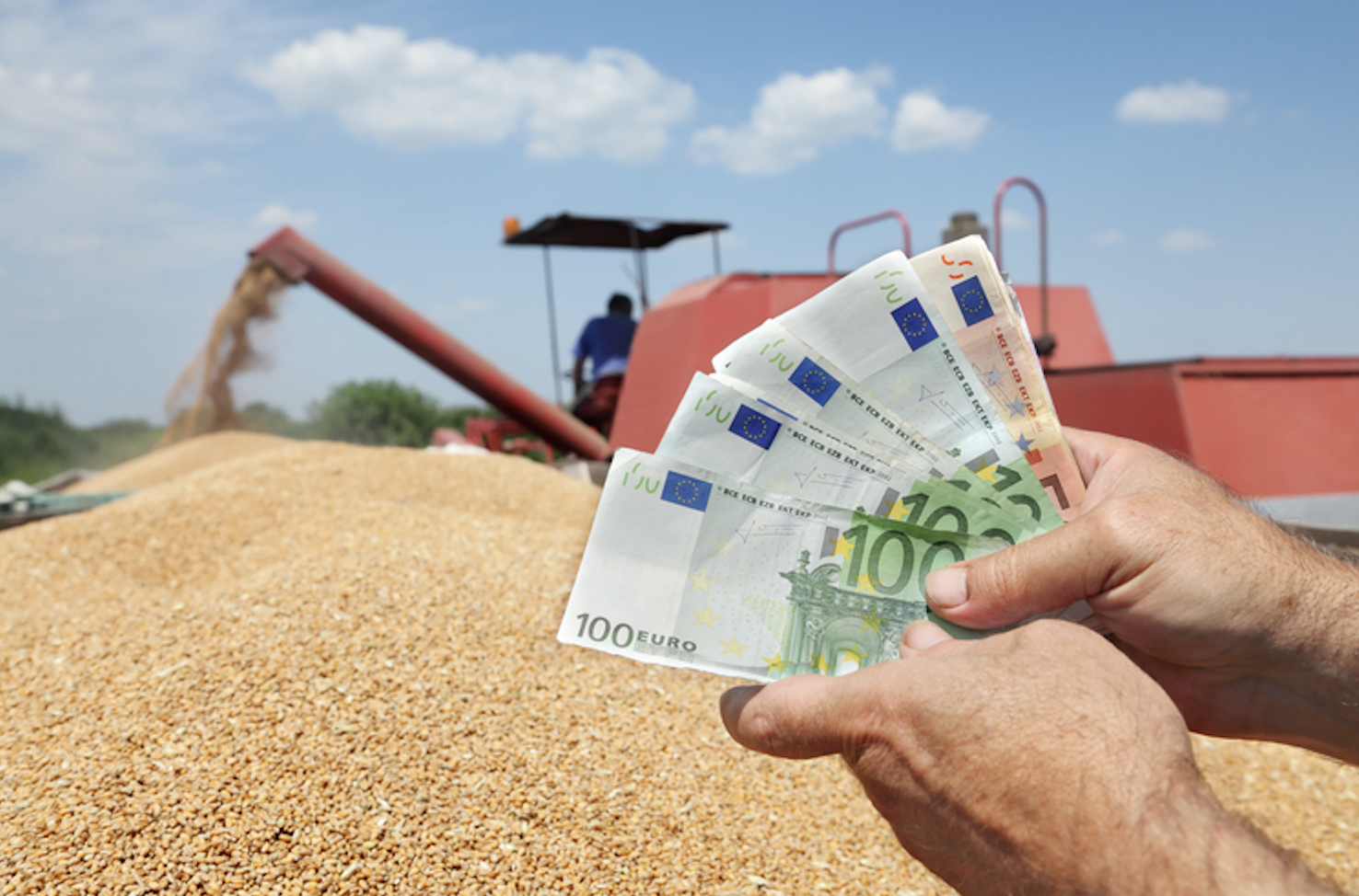 Fermierii dintr o comuna din Cluj pot obtine pana la 620 de euro in plus pe hectar O oportunitate pe care nu ar trebui sa o rateze