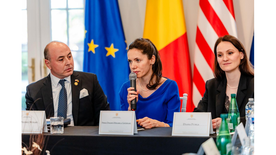 Mirabela Gradinaru ntalnire cu medicii romani din SUA teme abordate dependentele si copiii vulnerabili