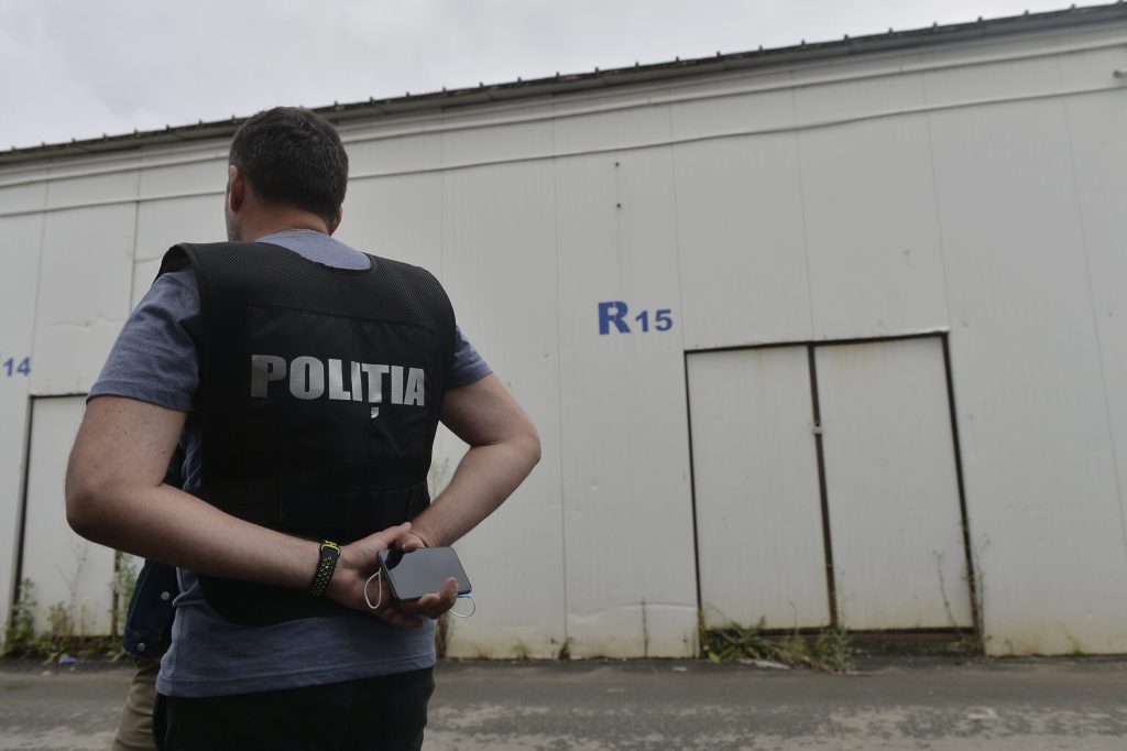 Peste 20 de perchezitii in 6 judee vizand infractiunii in domeniul silviculturii