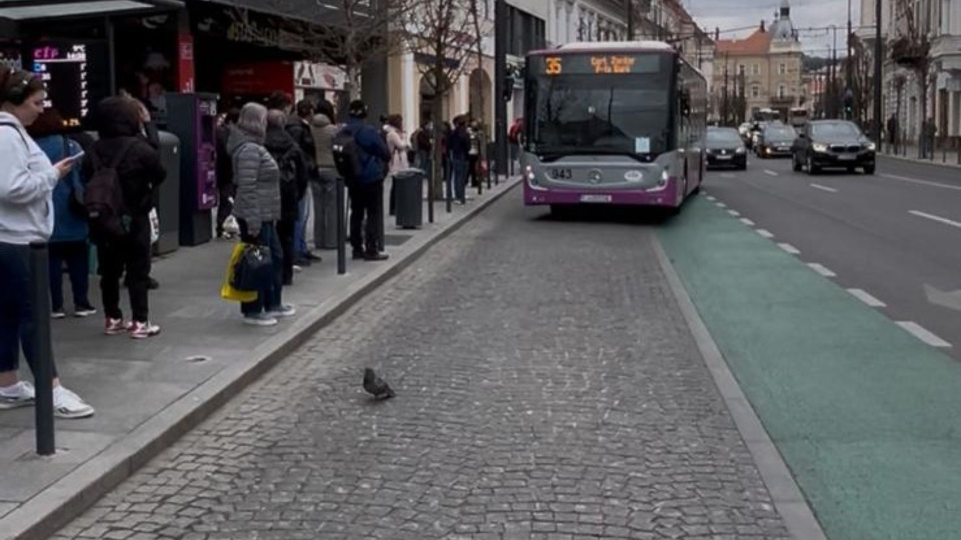 Transport suplimentar in Cluj dupa meciul CFR Rapid autobuze tramvaie si troleibuze pentru fani