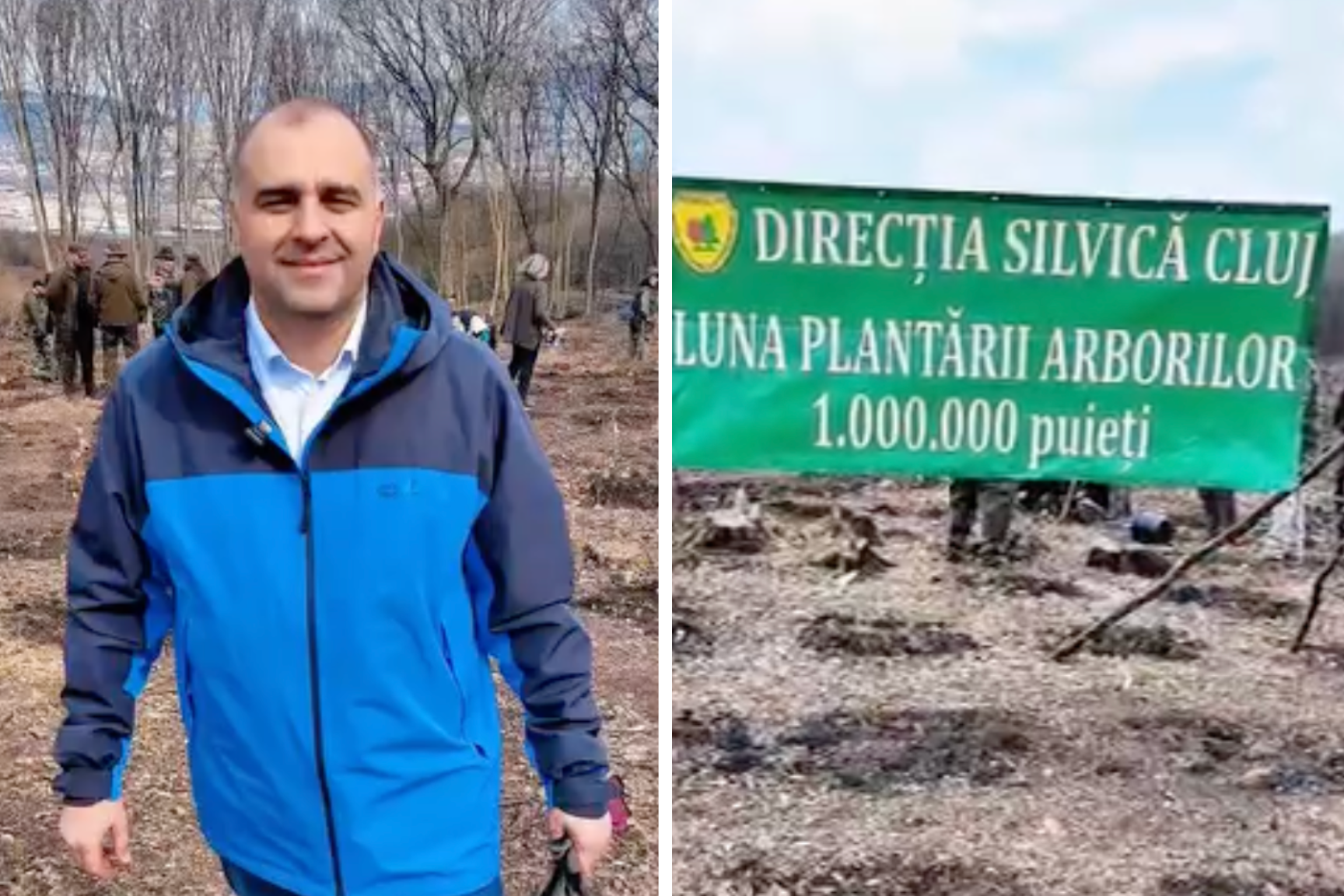 VIDEO 20000 de puieti plantati intr o singura zi la Cluj O mare actiune de reimpadurire la Cheile Baciului Cine a fost implicat si cum poti contribui