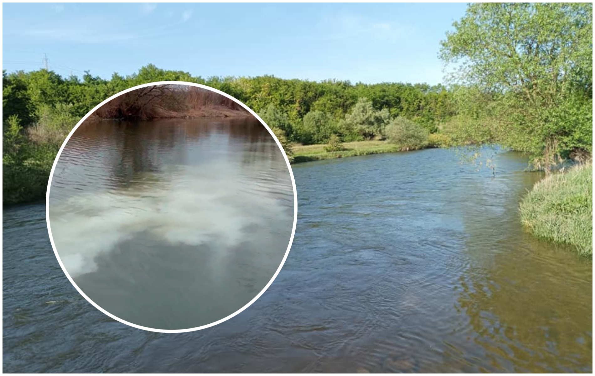 VIDEO Un pescar din Cluj a facut o descoperire socanta pe Somes Poluare extrema 24 din 24 Am observat o teava PVC sub apa si un peste mort