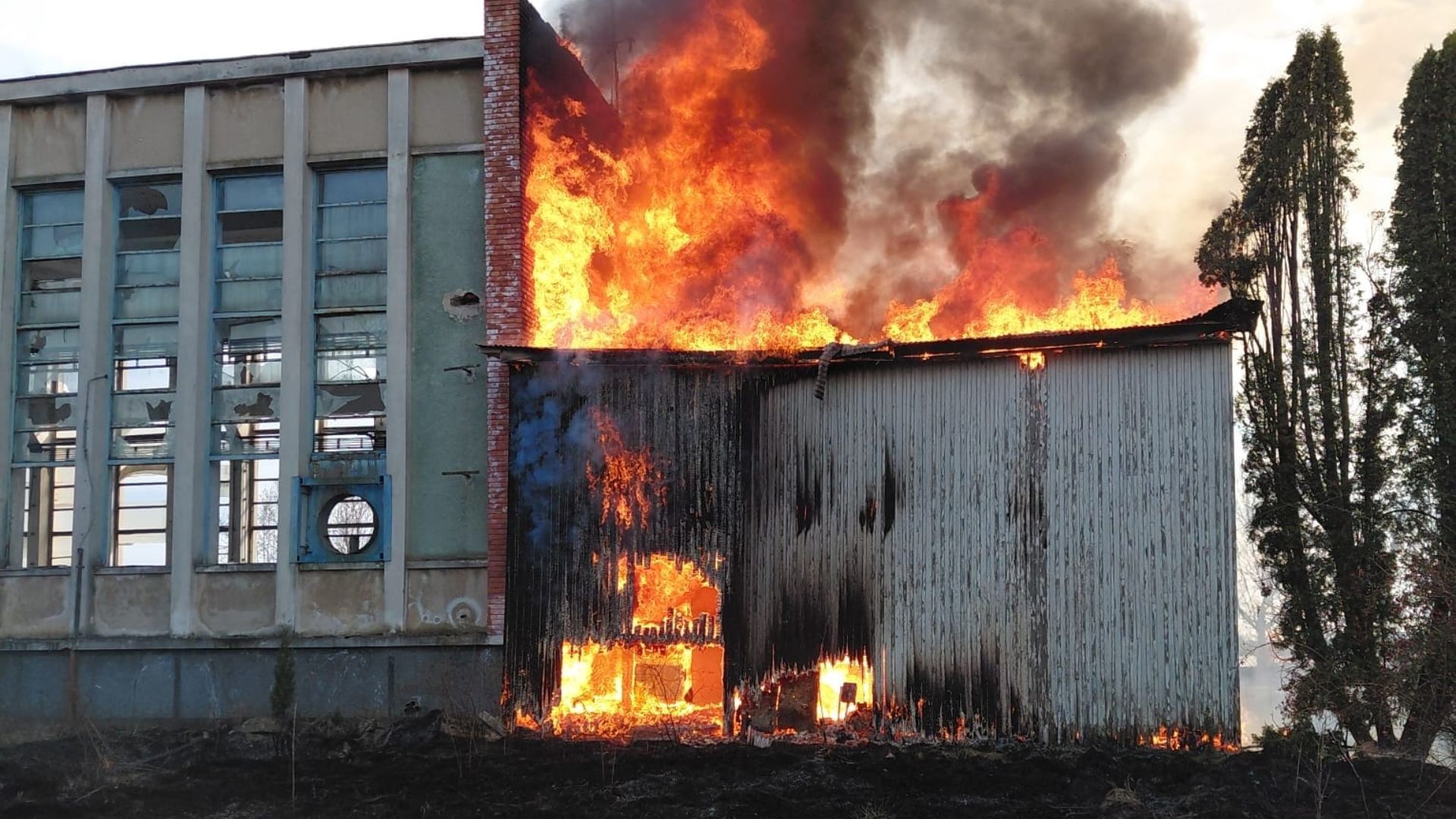 VIDEO incendiu de vegetatie in Cluj flacarile au cuprins o anexa a unei hale iar pompierii s au luptat intens cu focul