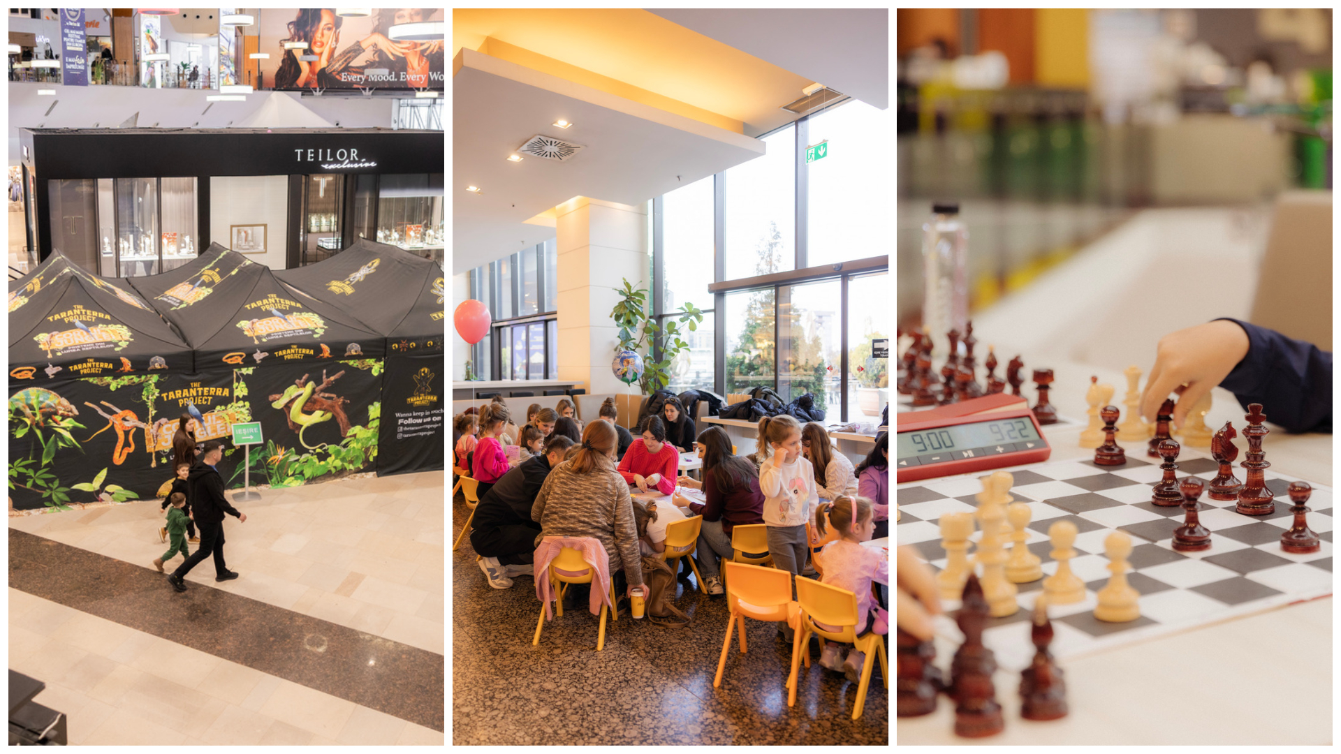 Weekend plin de distractie si creativitate la Iulius Mall Cluj Copiii joaca sah creeaza buchete de flori si descopera tarantule si reptile vii