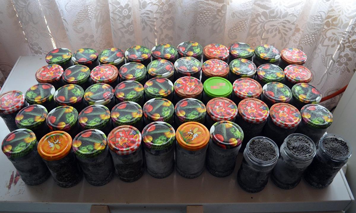 icre negre si zeci de kilograme de sturion gasite la braconieri in judetul Constanta