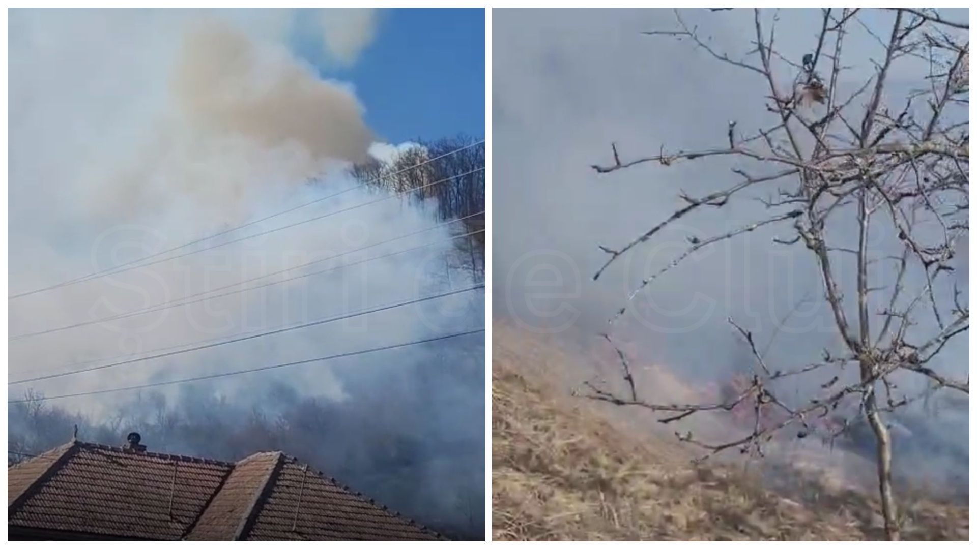 video inconstienta totala a aprins focul pentru a si arde gunoiul si a provocat un incendiu in padurea din cluj de groaza