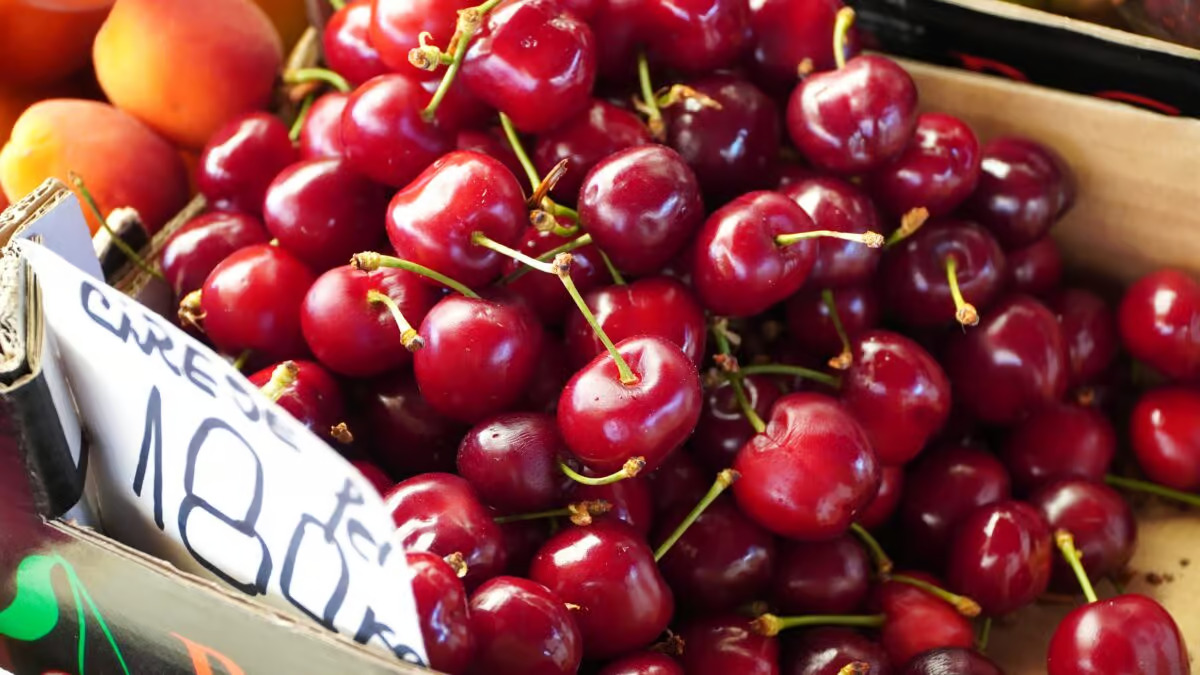 A sosit vremea platilor in rate cireselle sunt aici si costa 180 de lei pe kilogram